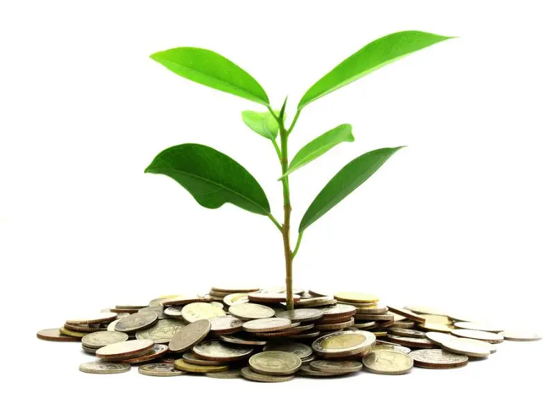 Инвестиции SKF в сохранение экологии | Свежие новости в Владимире