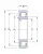 Роликовый цилиндрический подшипник NJ 211 ECP/C 3 от производителя  SKF